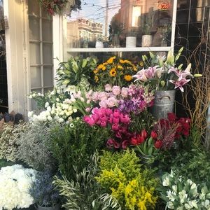 Meet your Posher, Nancy